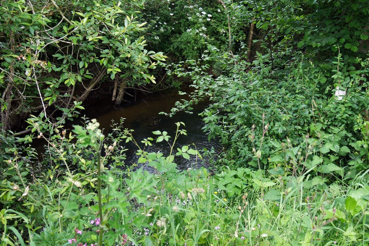 Jardin bucolique La Plume des Jardins, Quimper