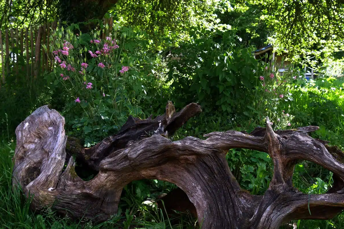 Jardin bucolique La Plume des Jardins, Quimper