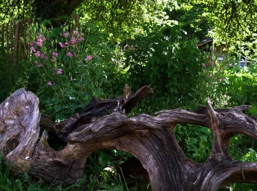 Jardin bucolique La Plume des Jardins, Quimper