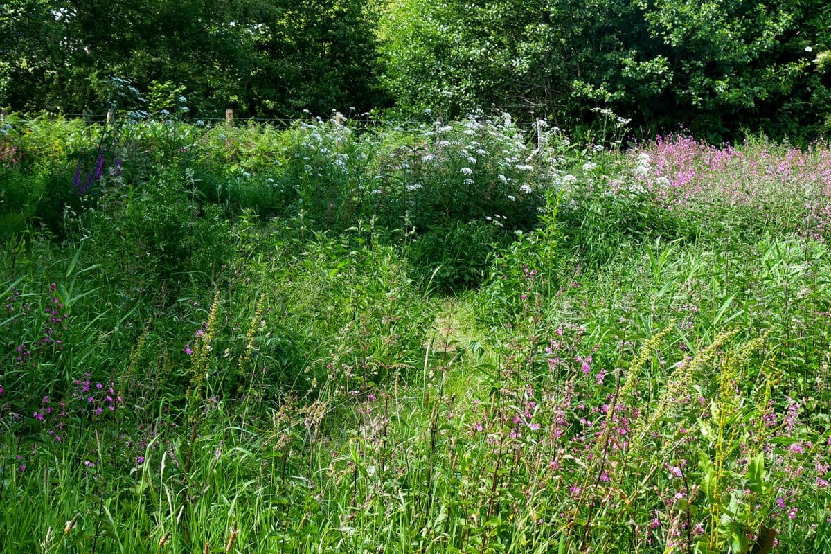 Jardin bucolique La Plume des Jardins, Quimper