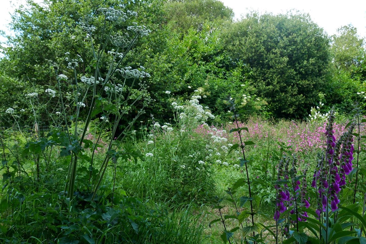 Jardin bucolique La Plume des Jardins, Quimper