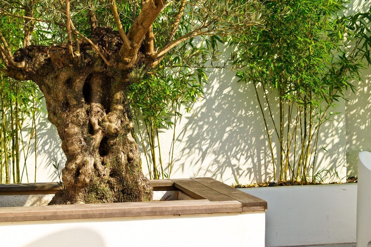 Jardin Minimaliste La Plume des Jardins, Quimper
