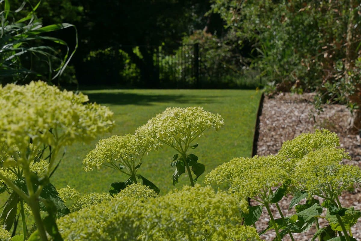 Jardin Prestige La Plume des Jardins, Quimper
